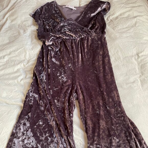 Silver Velvet Jumpsuit - Picture 1 of 5